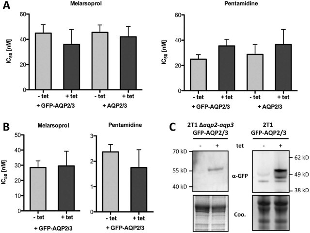 Fig. 2