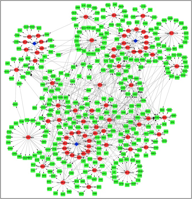 Figure 7