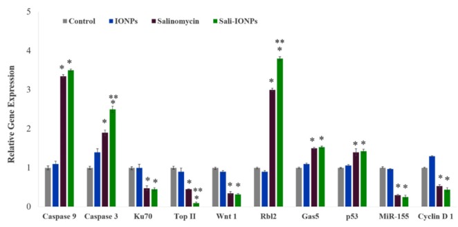 Figure 10