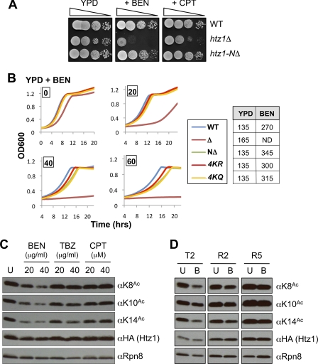 FIGURE 5.