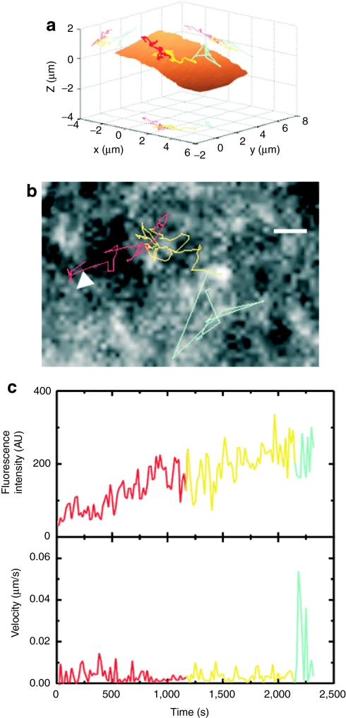 Figure 7