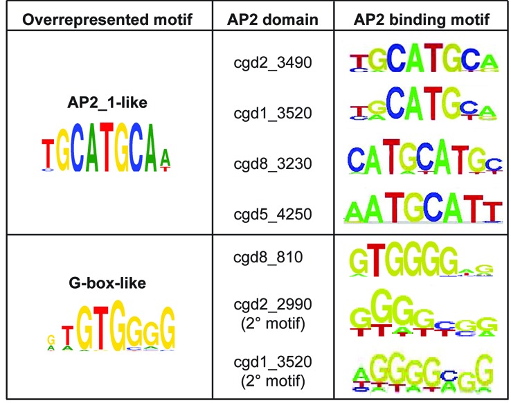 Figure 5.