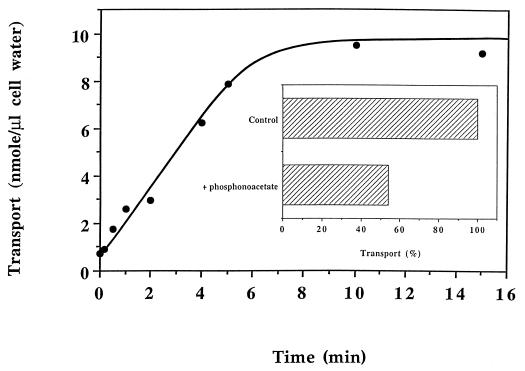 FIG. 1