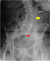 Fig. 1