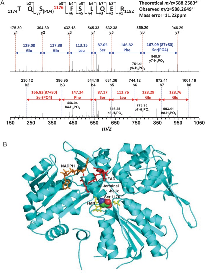 Figure 6