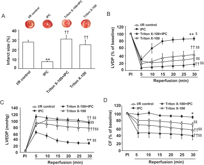 Figure 5