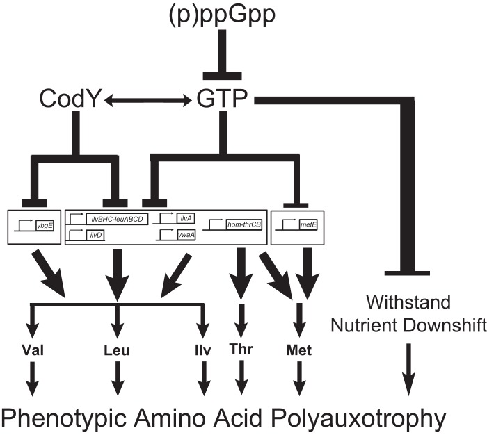 FIG 7