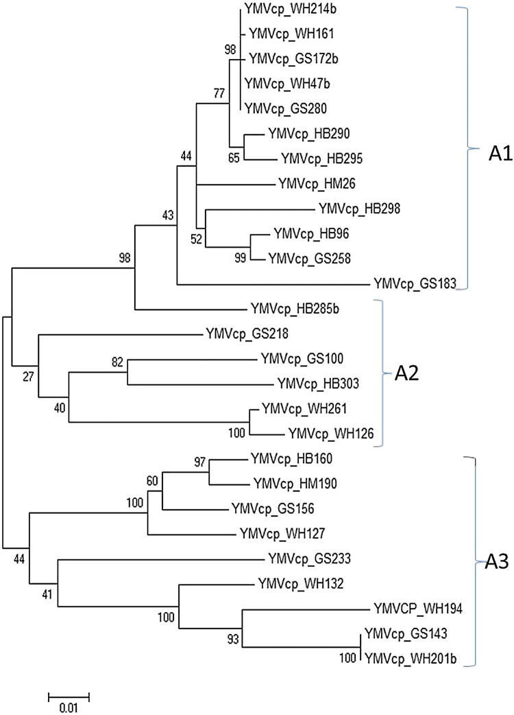 Fig. 4