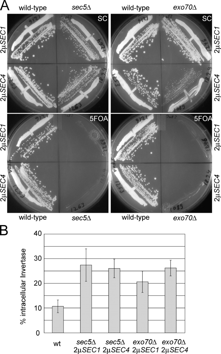 Figure 4.