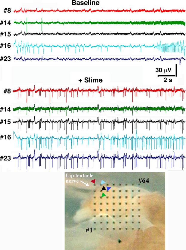 Figure 6