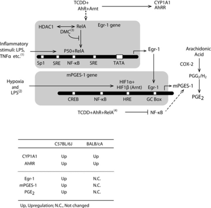 FIG. 7.