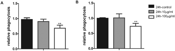 Fig. 8