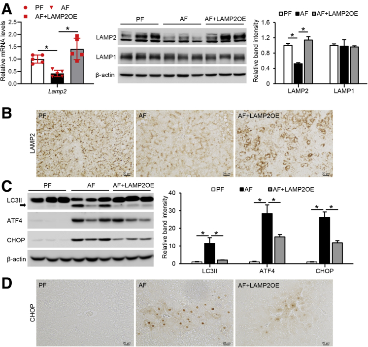 Figure 6