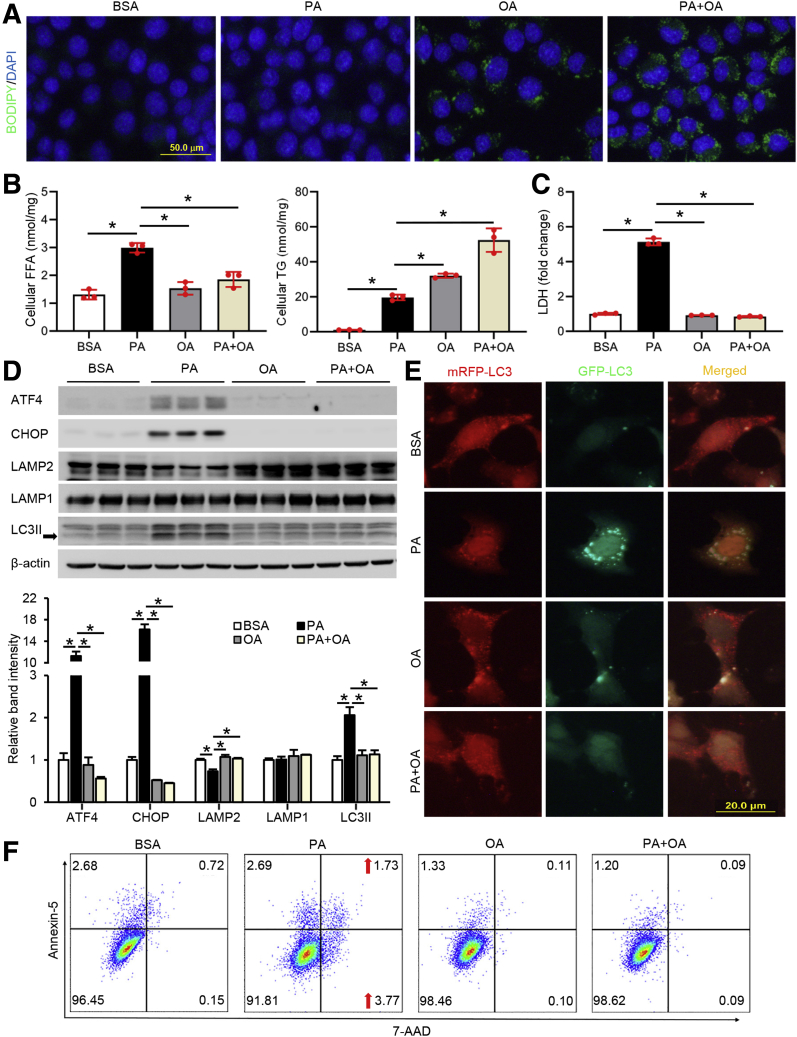 Figure 4