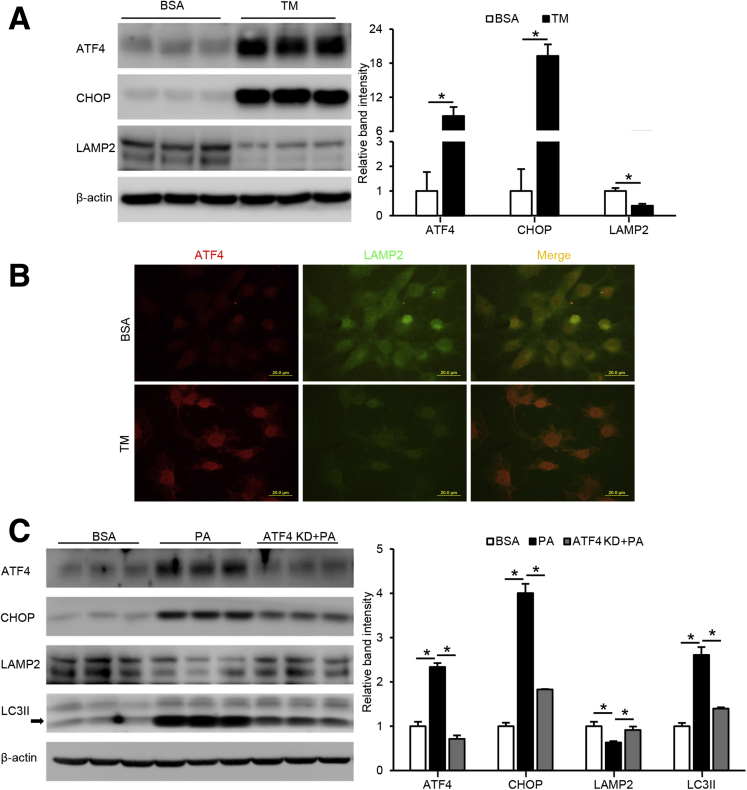 Figure 5