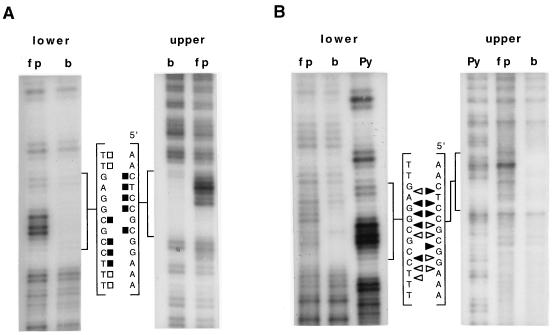 FIG. 5