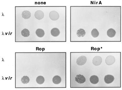 FIG. 8