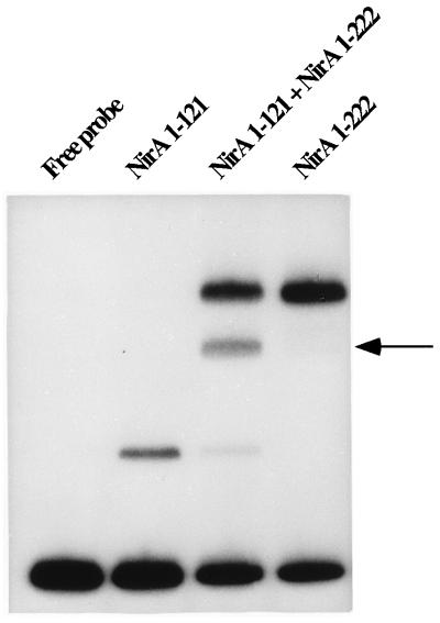 FIG. 7