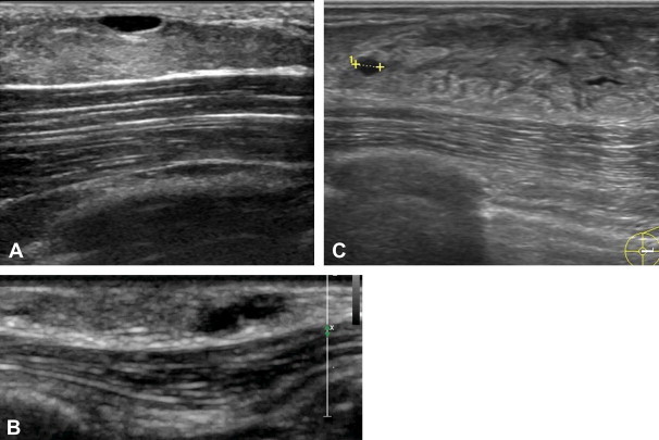 Fig. 6