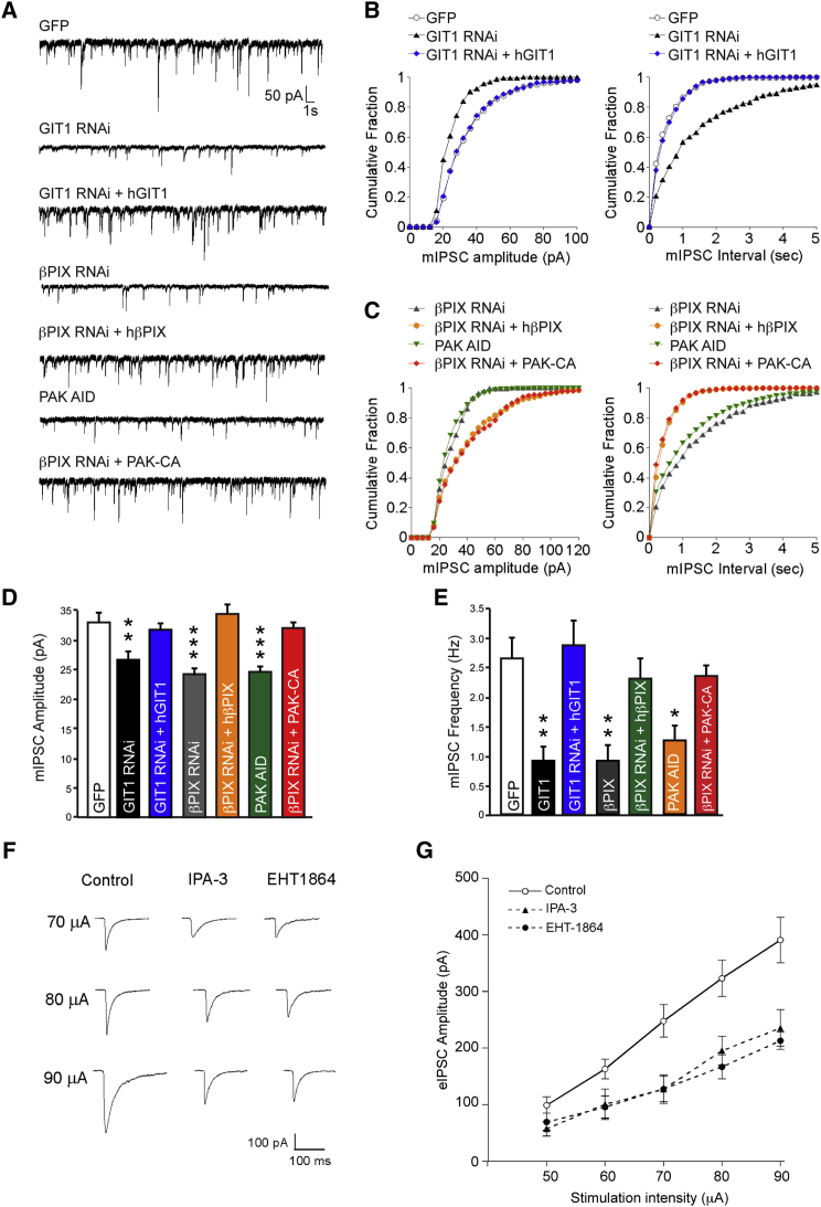 Figure 6