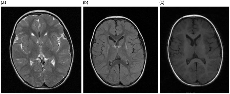 Figure 2.