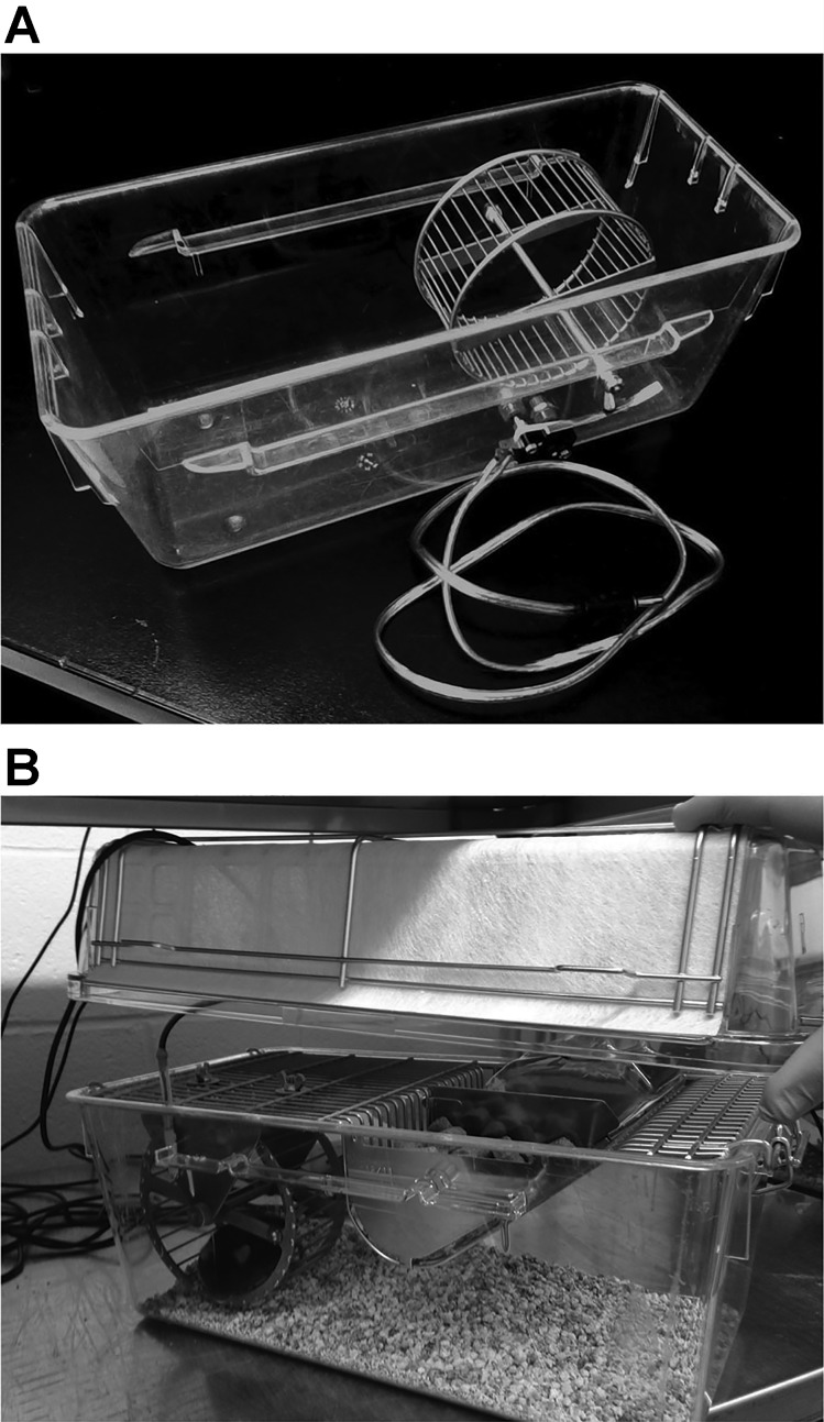 Fig. 1.