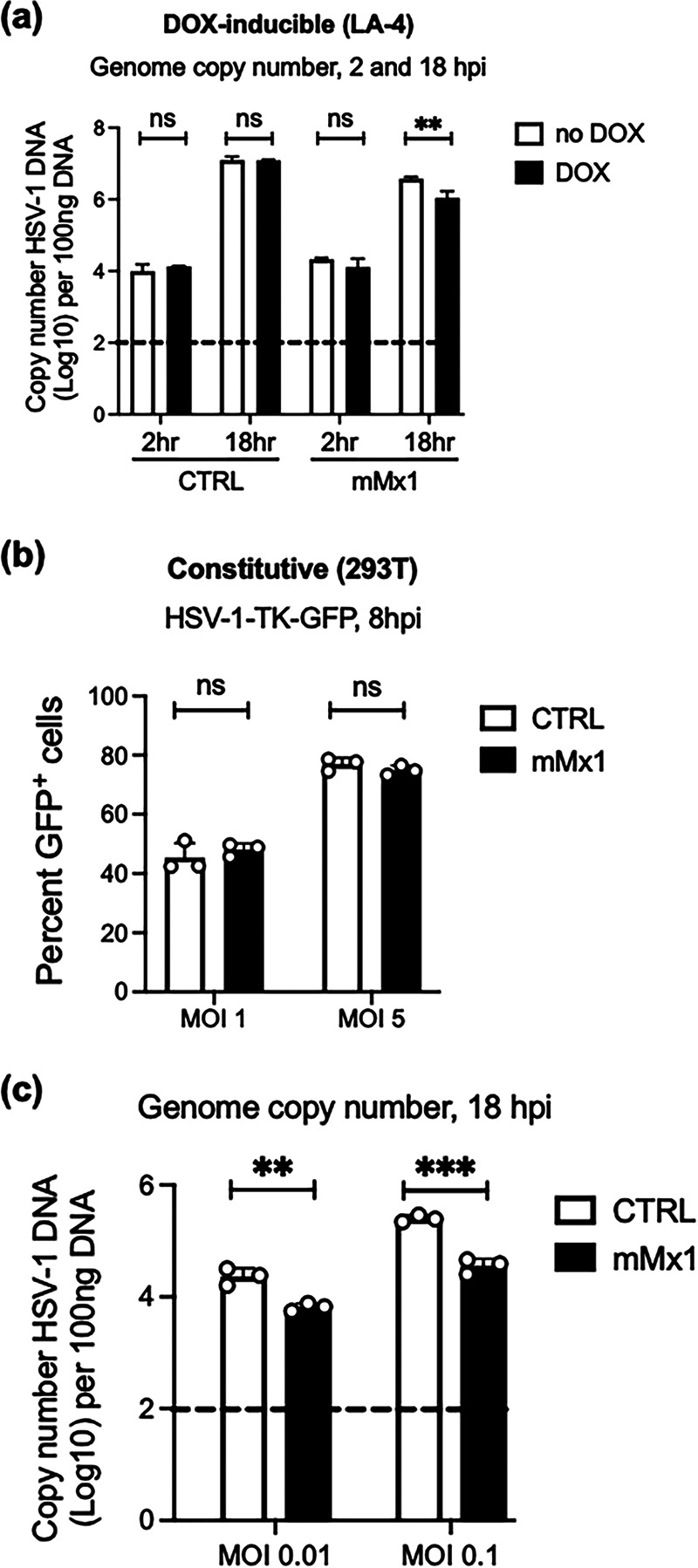 FIG 6