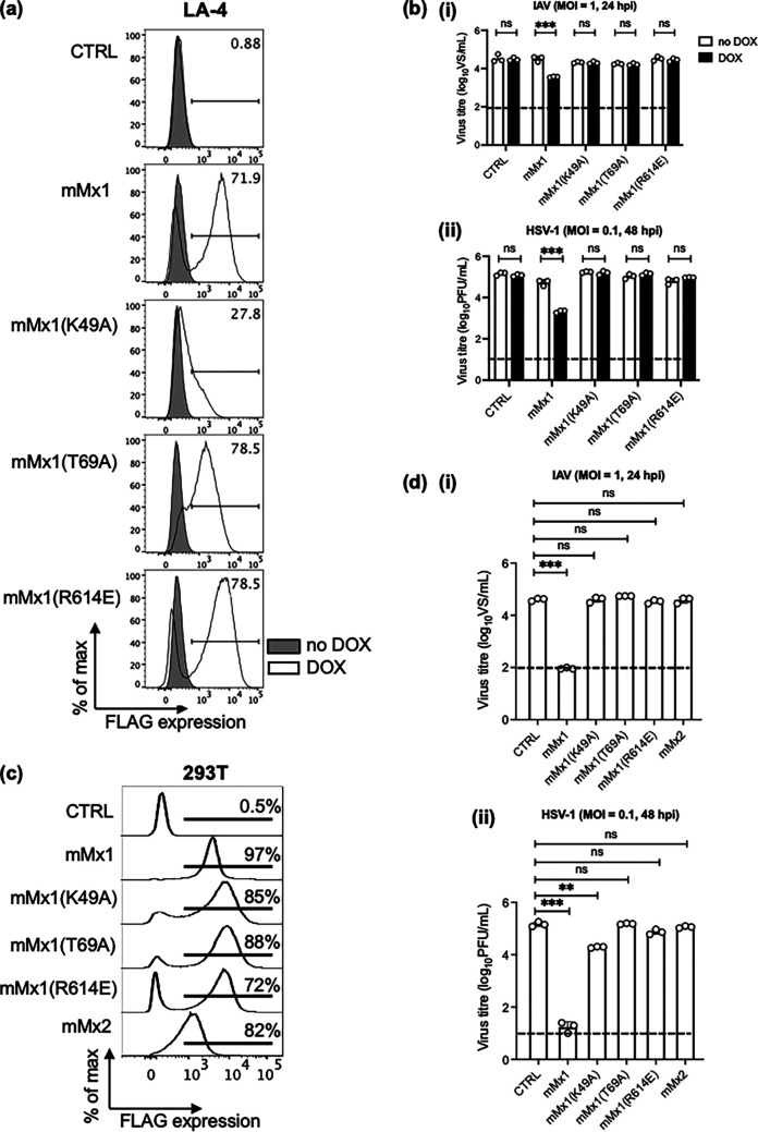 FIG 3