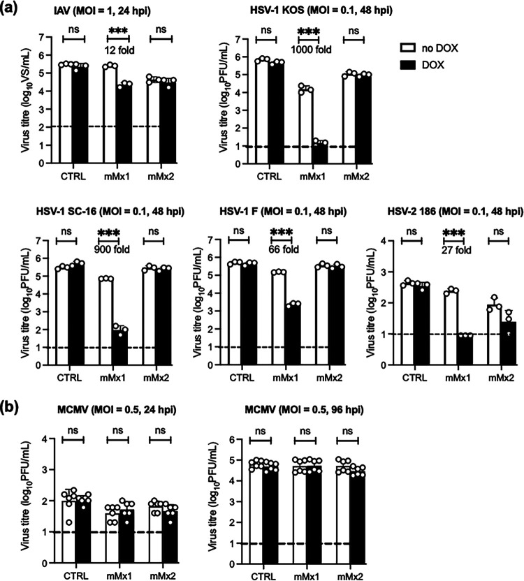 FIG 2