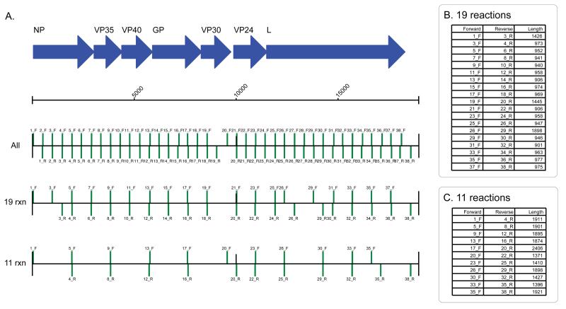 Extended Figure 1.