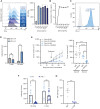 Figure 6. Tumor microenvironmental interferon gamma is required for NK-cell recruitment to tumors lacking MHC-I expression. A, Flow cytometry staining for intracellular IFNγ. B2M KO EMT6-IFNγ cells were treated with increasing doxycycline (Dox) concentrations (0, 62.5, 150, 250, 500, and 1,000 ng/mL) and incubated for 48 hours. B, IFNγ secretion after doxycycline treatment was measured in supernatant and detected by ELISA. Data represent mean ± SEM. C, B2M KO EMT6-IFNγ cells were treated with 62.5 ng/mL of doxycycline and collected after 48 hours. The supernatant containing secreted IFNγ was placed on parental EMT6 cells to induce PD-L1 expression. D, Flow cytometry analysis of B2M KO dox-inducible IFNγ EMT6 tumor-infiltrating NK cells and CD8 T cells with or without doxycycline. NK cells are gated on live CD45+, NKp46+, and CD3−. T cells are gated on live CD45+, CD3+. Normalized to tumor weight (n = 4). Analyzed by Student t test. E, Doxycycline inducible IFNγ B2M KO EMT6 tumor cells were injected subcutaneously in BALB/c mice. Mice were given water with or without doxycycline and treated at 7-day intervals with IgG antibody or anti-NKG2A antibody. Graphs show combined tumor growth and individual tumor sizes on day 28 after tumor inoculation (n = 4–10 per group). Data analyzed by ANOVA followed by Tukey post hoc test. F, Flow cytometry analysis of MHC-IHET tumor-infiltrating NK cells from MHC-IHET tumors grown in wild-type or Ifng−/− BALB/c mice. G, Flow cytometry analysis of MHC-IHET tumor-infiltrating NK cells from mice treated with either IgG or anti-CD8α depletion antibody. *, P ≤ 0.05; **, P ≤ 0.01; ***, P ≤ 0.001; ****, P ≤ 0.0001; ns, not significant.