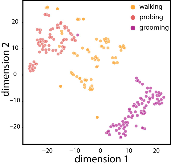 Figure 4—figure supplement 1.