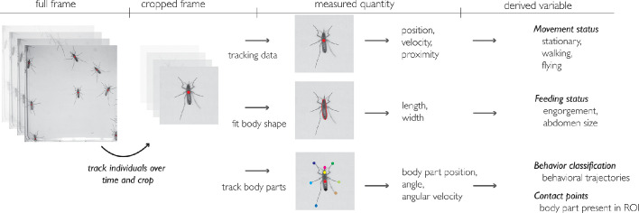 Figure 1—figure supplement 2.