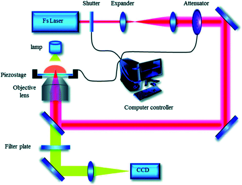 Fig. 2