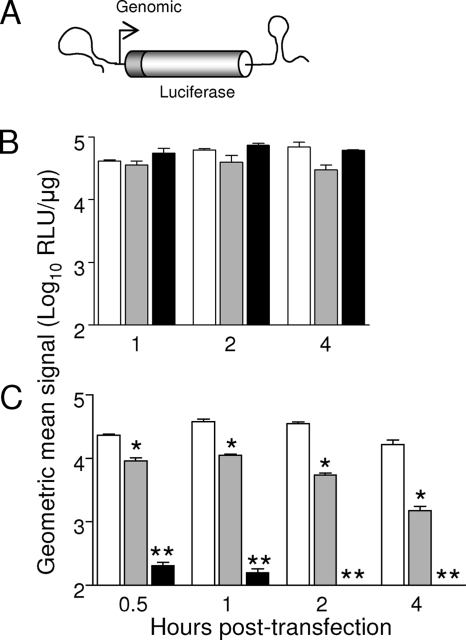 FIG. 6.