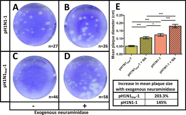 FIG 2