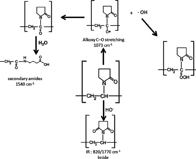 Scheme 2