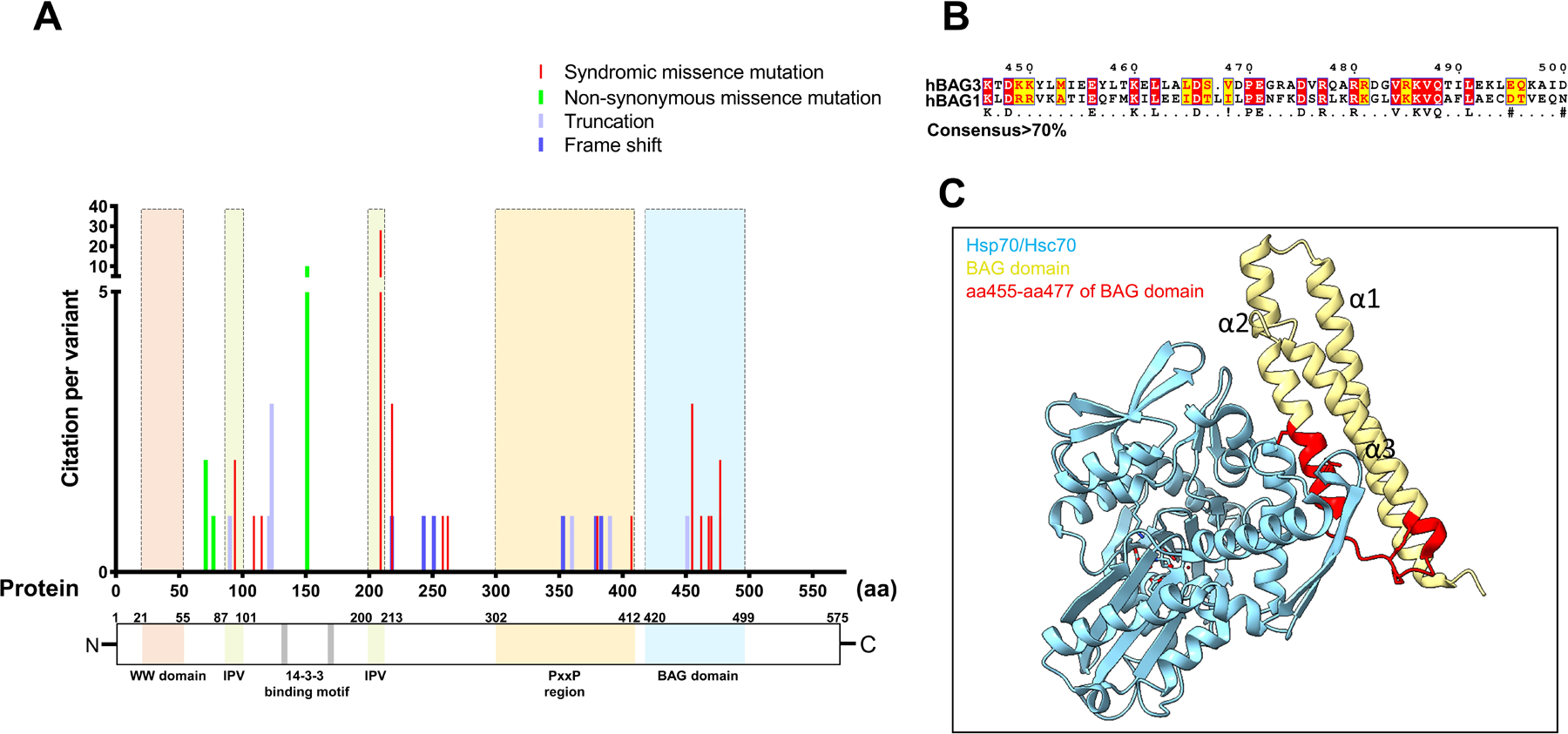 Figure 4.