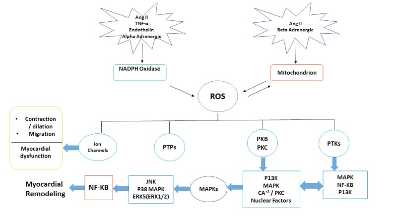 Fig. (3)