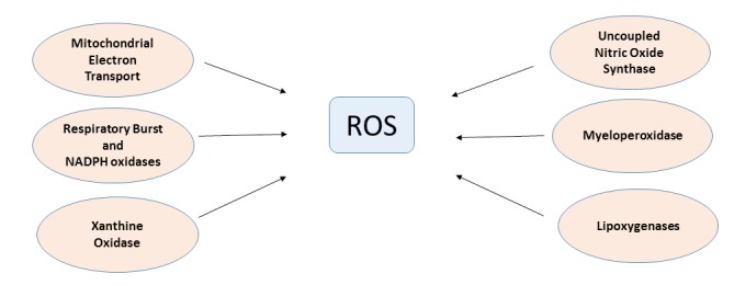 Fig. (2)