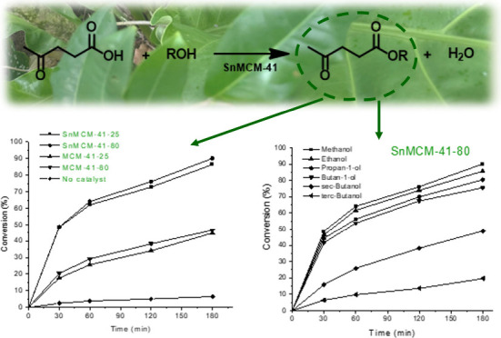 graphic file with name ao4c04598_0007.jpg