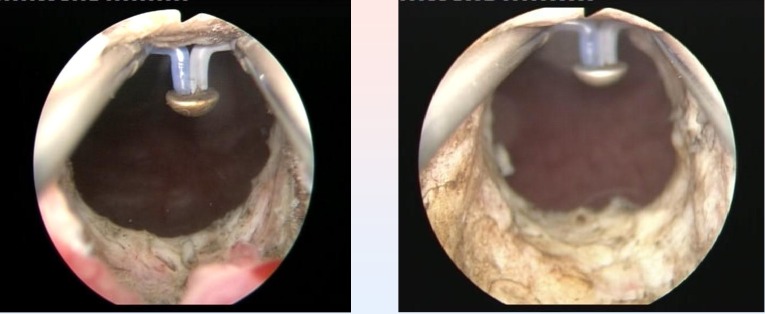 Fig. 7