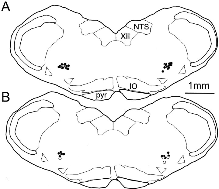 Fig. 9.