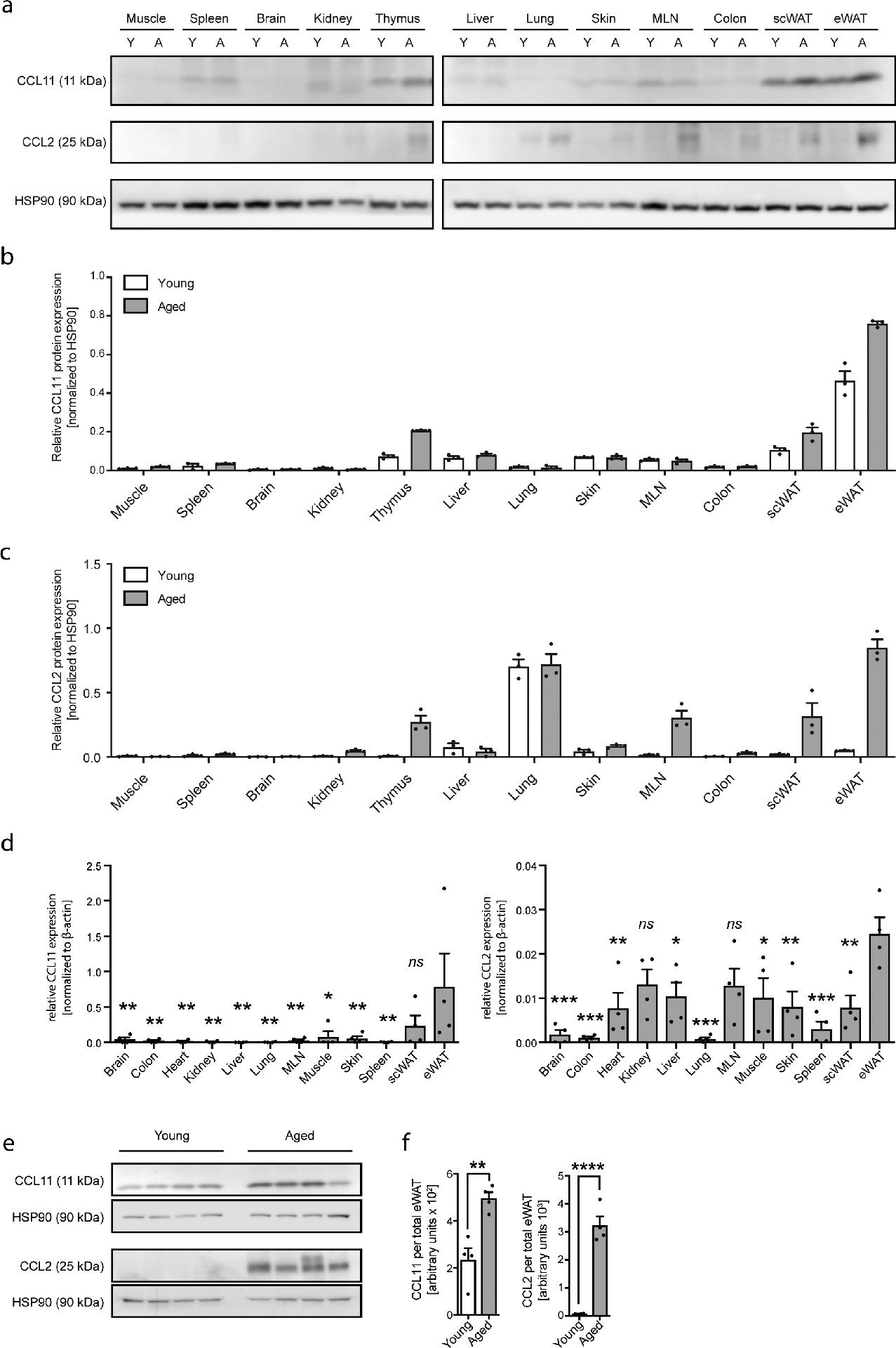 Extended Data Fig. 1