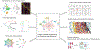Fig. 2 |