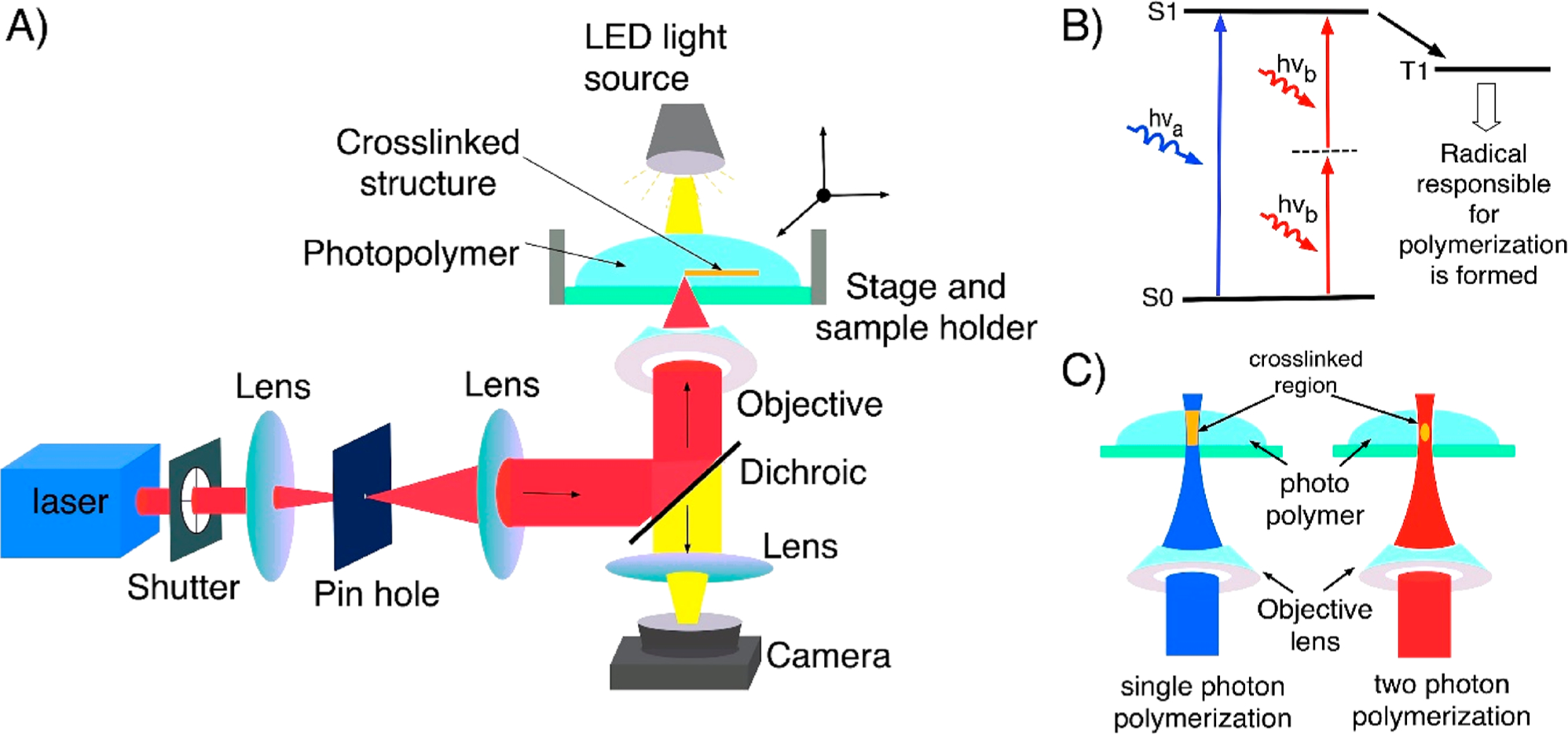 Figure 1.