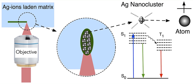 graphic file with name nihms-1639724-f0001.jpg