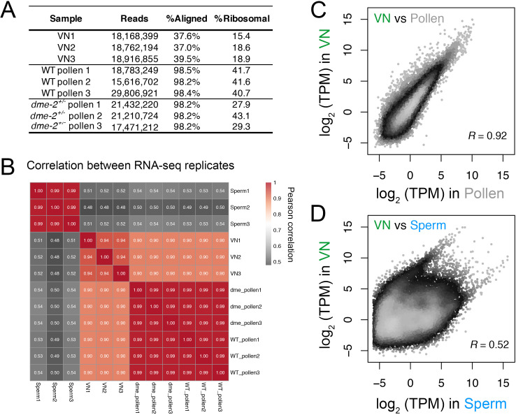 Figure 1—figure supplement 2.