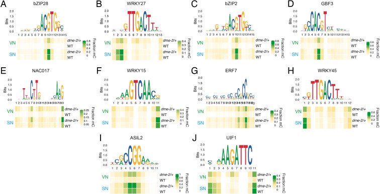 Figure 3—figure supplement 2.