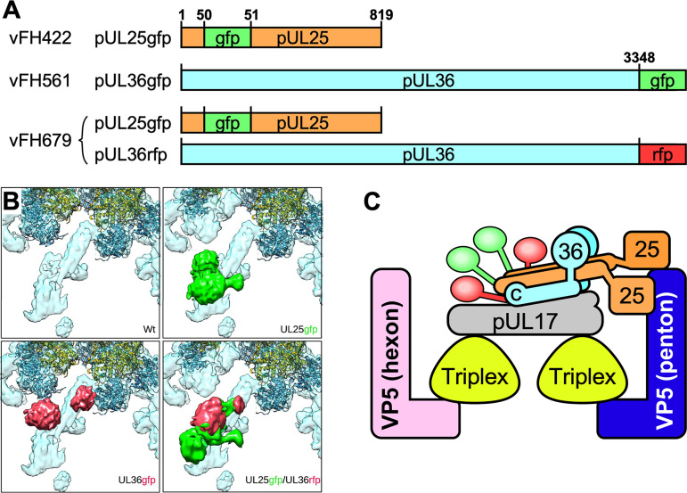 FIG 3